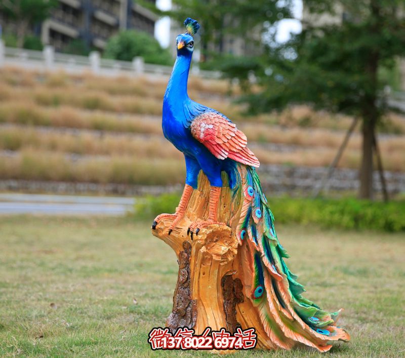 彩繪孔雀玻璃鋼雕塑，為公園街道擺放添彩